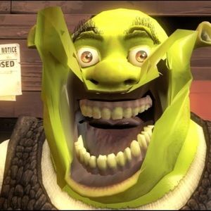 Meet your Posher, Sophie